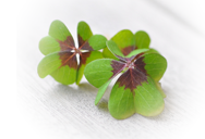 Viel Glück im neuen Jahr wünscht Sven Körting EDELSTAHL