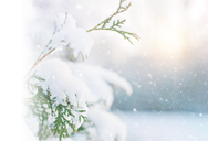 Urlaubszeit bei Sven Körting EDELSTAHL